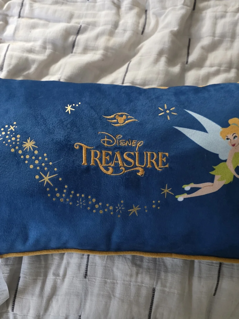 Disney Treasure Pillow